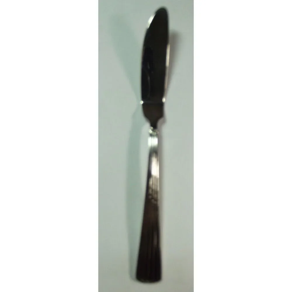 Reed & Barton Flat Handle Master Butter Knife TRINITY HALL 18/10 stainless 7